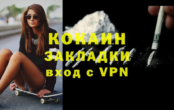 стаф Покачи