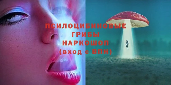 твердый Покровск