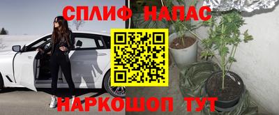 стафф Ливны