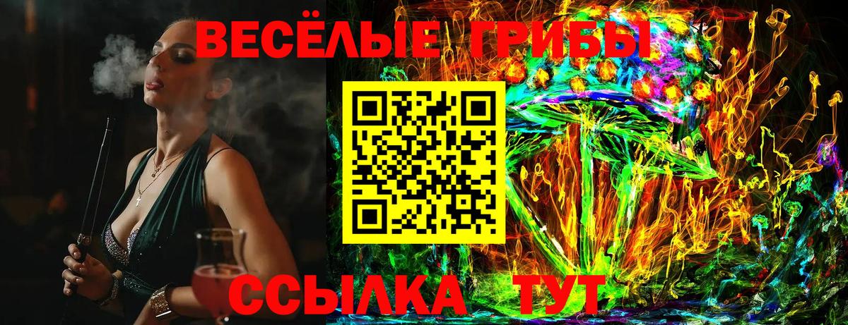 Псилоцибиновые грибы мицелий Россия