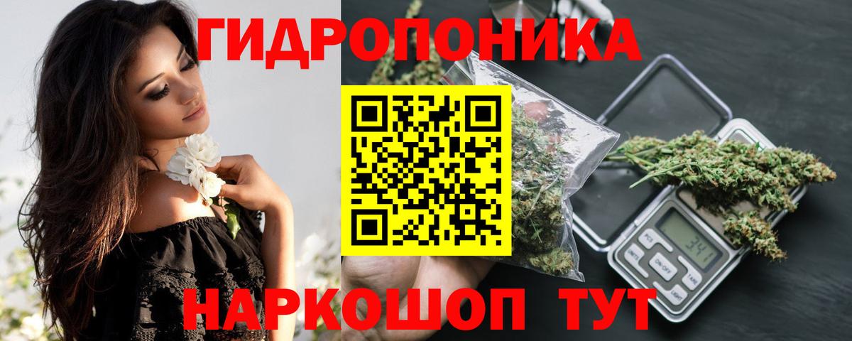 Шишки марихуана конопля  Вход с VPN  Шишки марихуана гибрид  Бошки Шишки OG Kush  Россия 