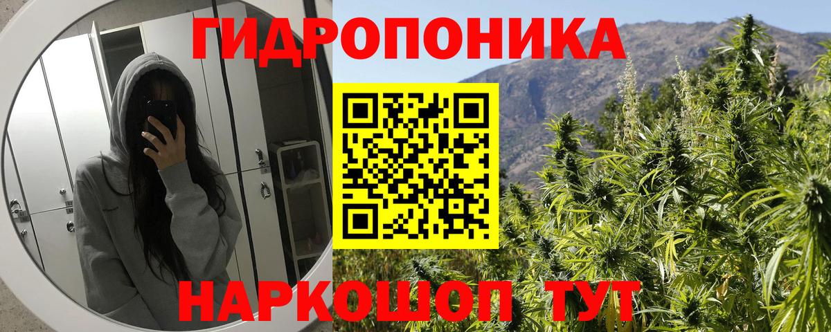 Каннабис Bruce Banner Россия